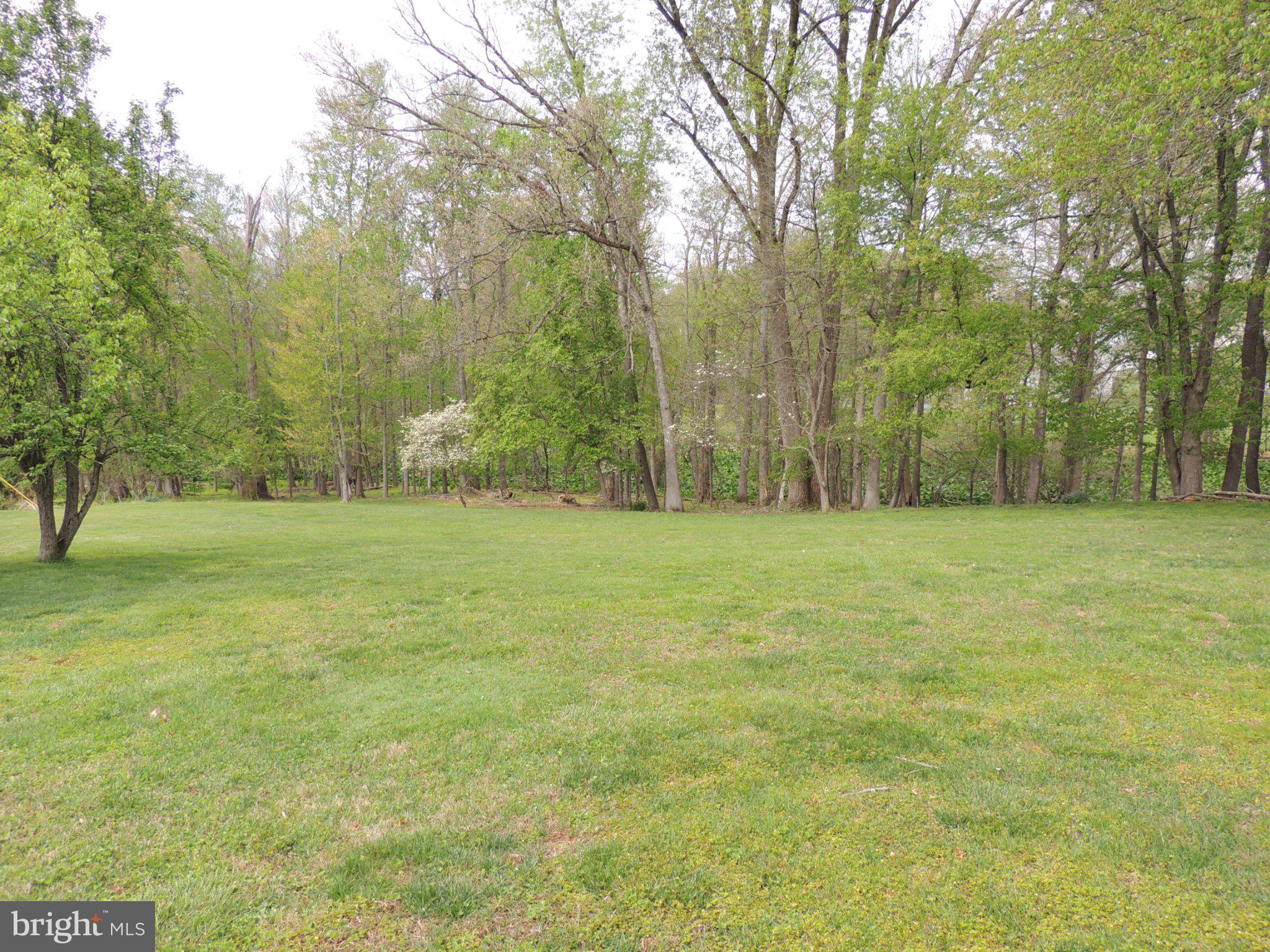 5838 Oklahoma Road Sykesville, MD 21784 - Photo 61 of 72 Lush green expanse with serene trees.