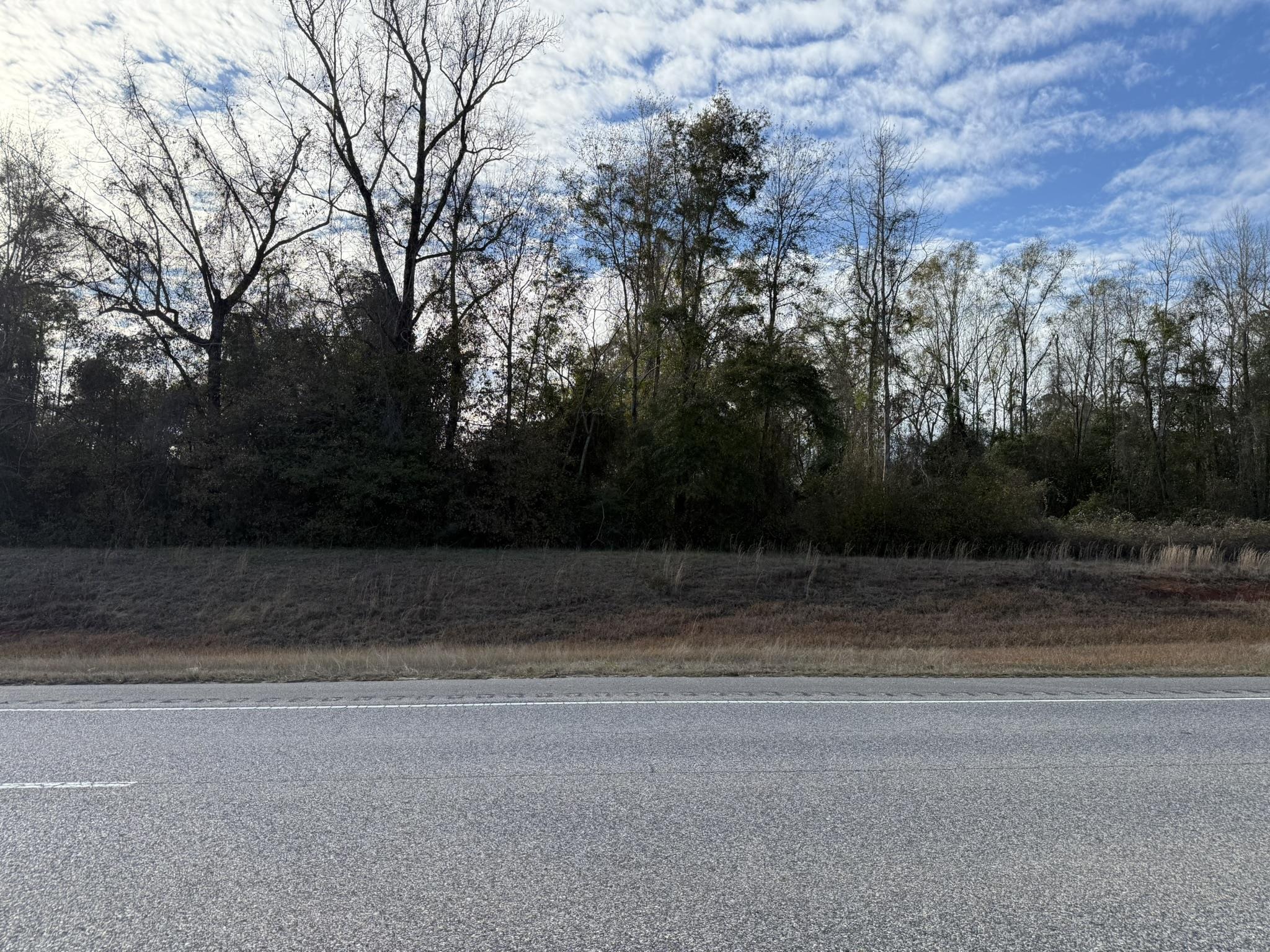 0 Rabun Road Bay Minette, AL 36507 - Photo 5 of 8