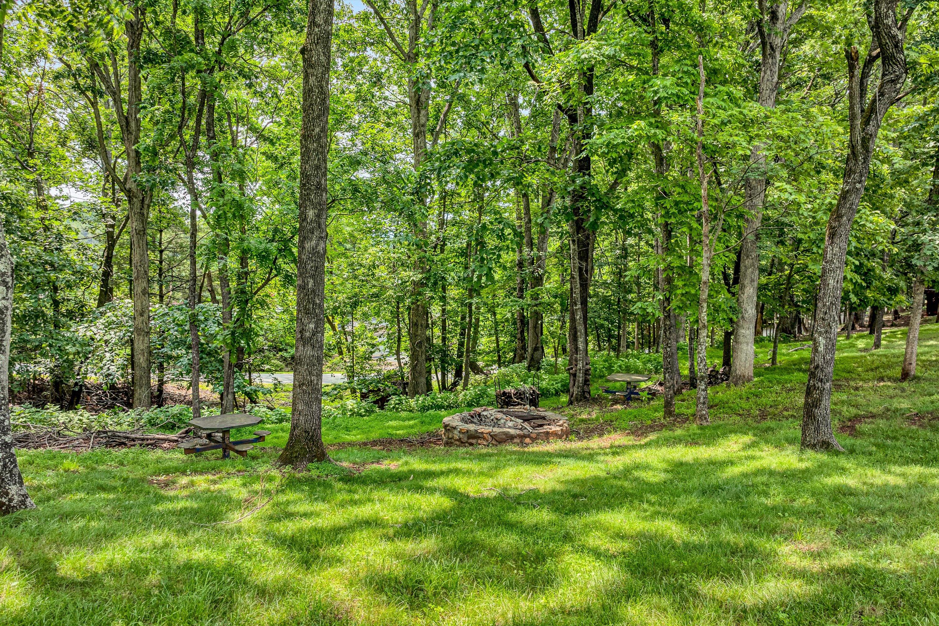 3680 Hales Ford Road Moneta, VA 24121 - Photo 50 of 61 50-SGM-0504