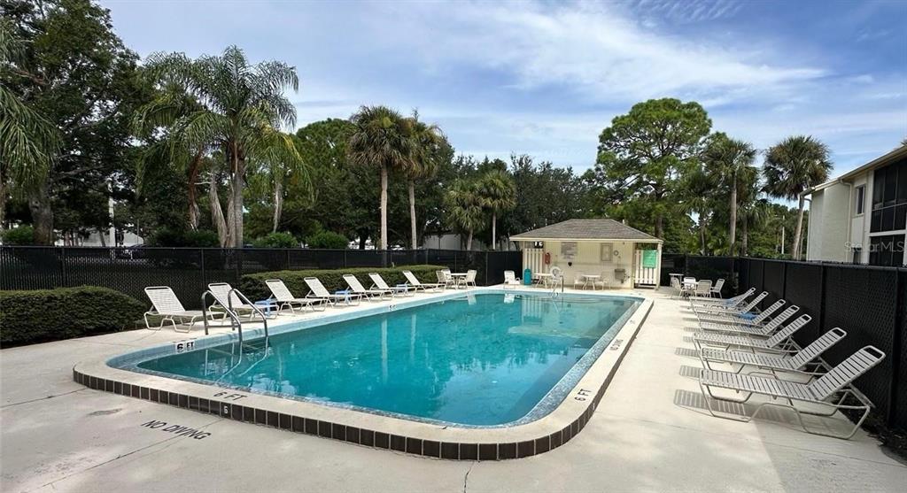 274 Cypress Lane Oldsmar, FL 34677 - Photo 18 of 19 a view of a swimming pool with a patio