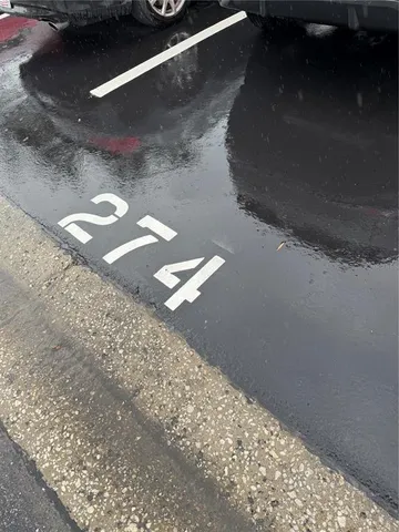 $1,800 | 274 Cypress Lane, Oldsmar, FL 34677