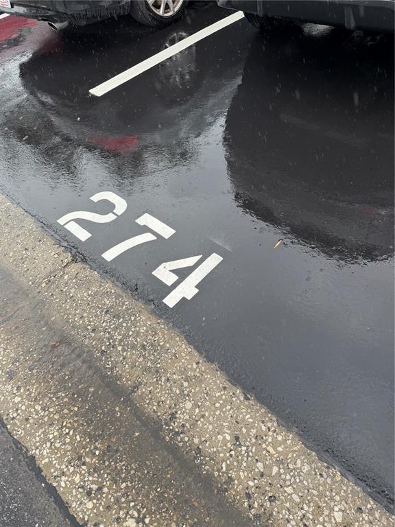 274 Cypress Lane Oldsmar, FL 34677 - Photo 19 of 19