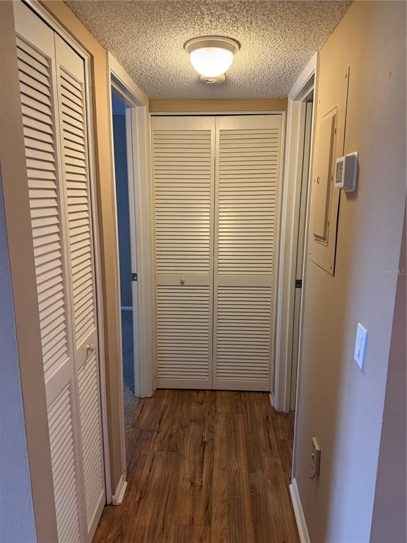 274 Cypress Lane Oldsmar, FL 34677 - Photo 9 of 19 a view of closet area