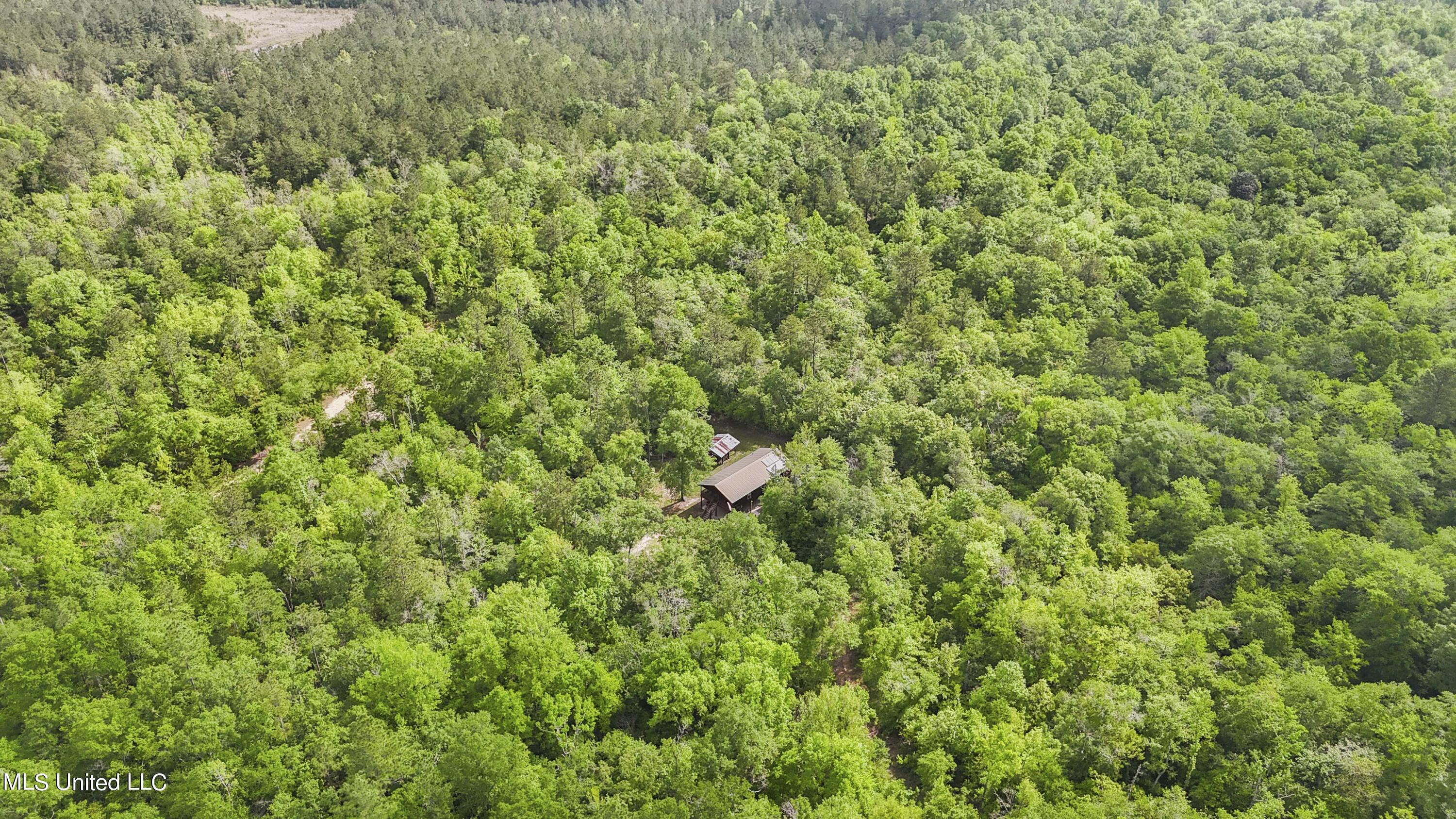 377 A Deep Creek Road Wiggins, MS 39577 - Photo 28 of 37 028