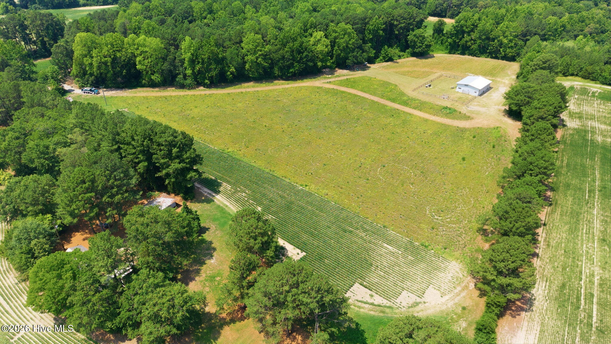 4800 Eatmon Road Bailey, NC 27807 - Photo 47 of 63
