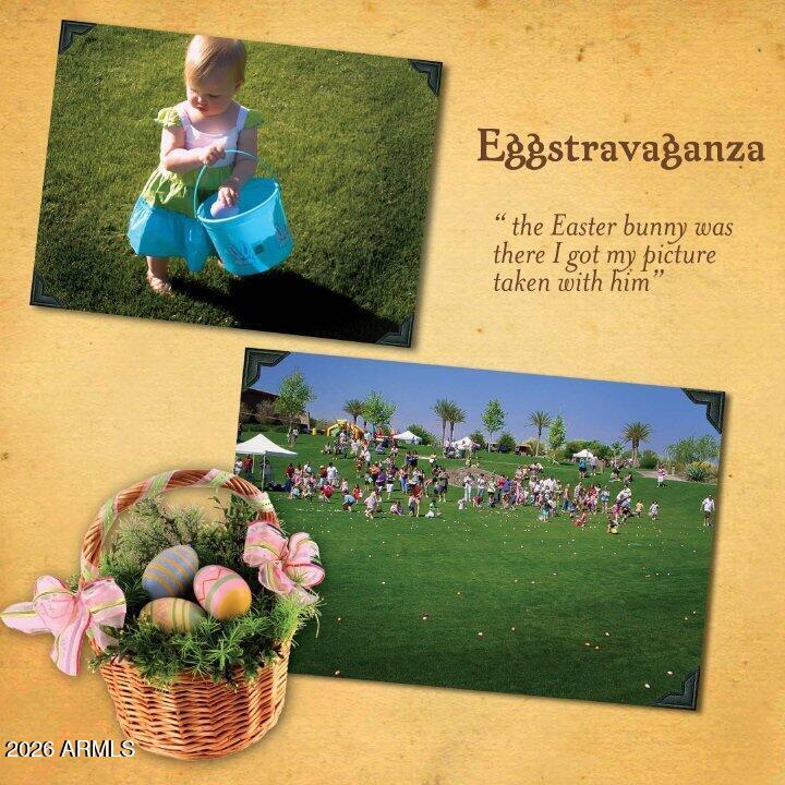 12731 West Eagle Ridge Lane Peoria, AZ 85383 - Photo 71 of 87 Eggstaravaganza