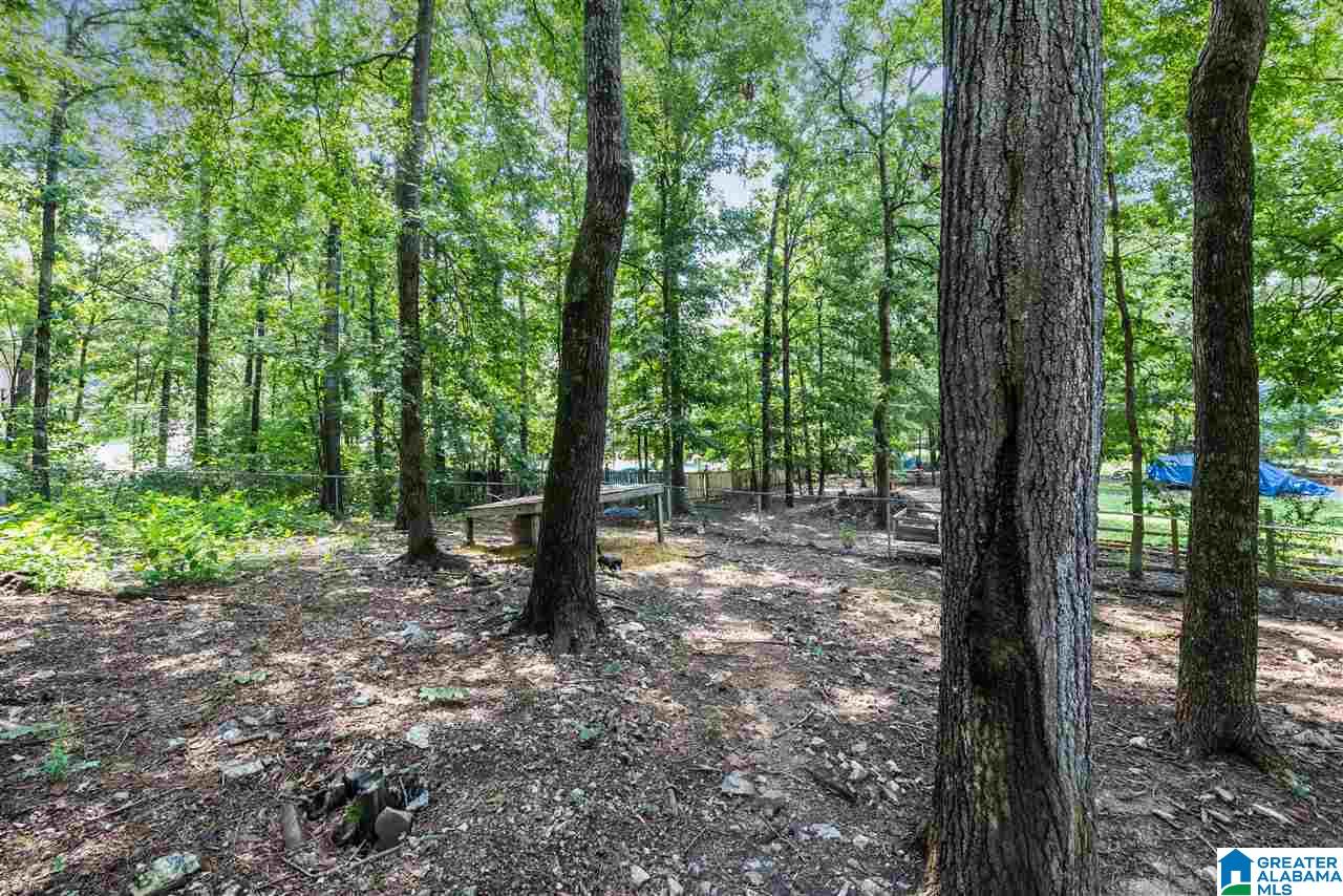 932 Independence Drive Alabaster, AL 35007 - Photo 23 of 24