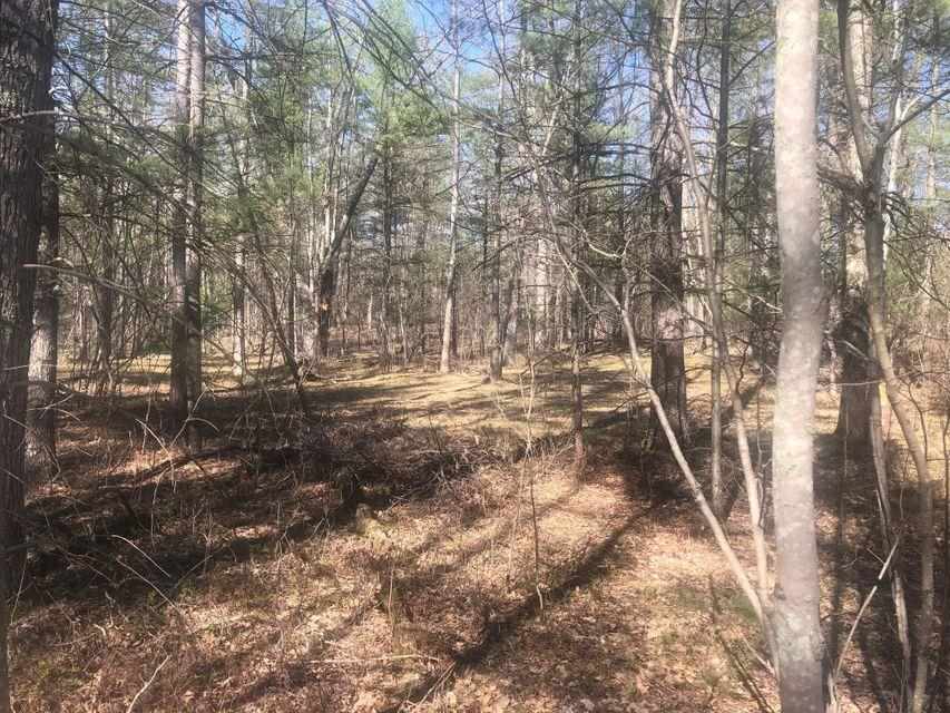 5012 Swihart Road Brethren, MI 49619 - Photo 56 of 59 1889679-55.JPG