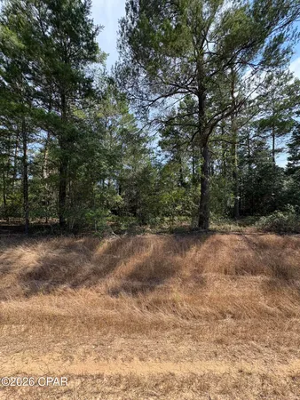 $14,999 | Lot 3 Dumajack Road, Chipley, FL 32428