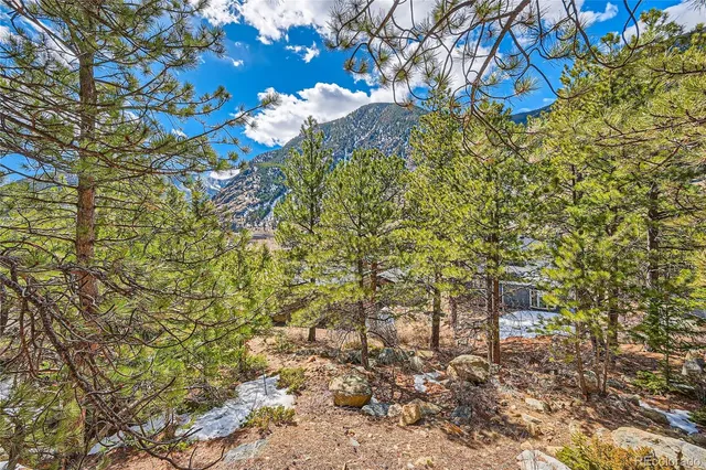a view of flowers in a yard