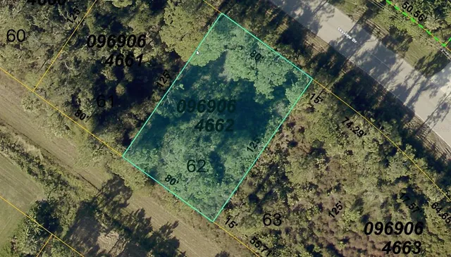 a plant with lots of trees