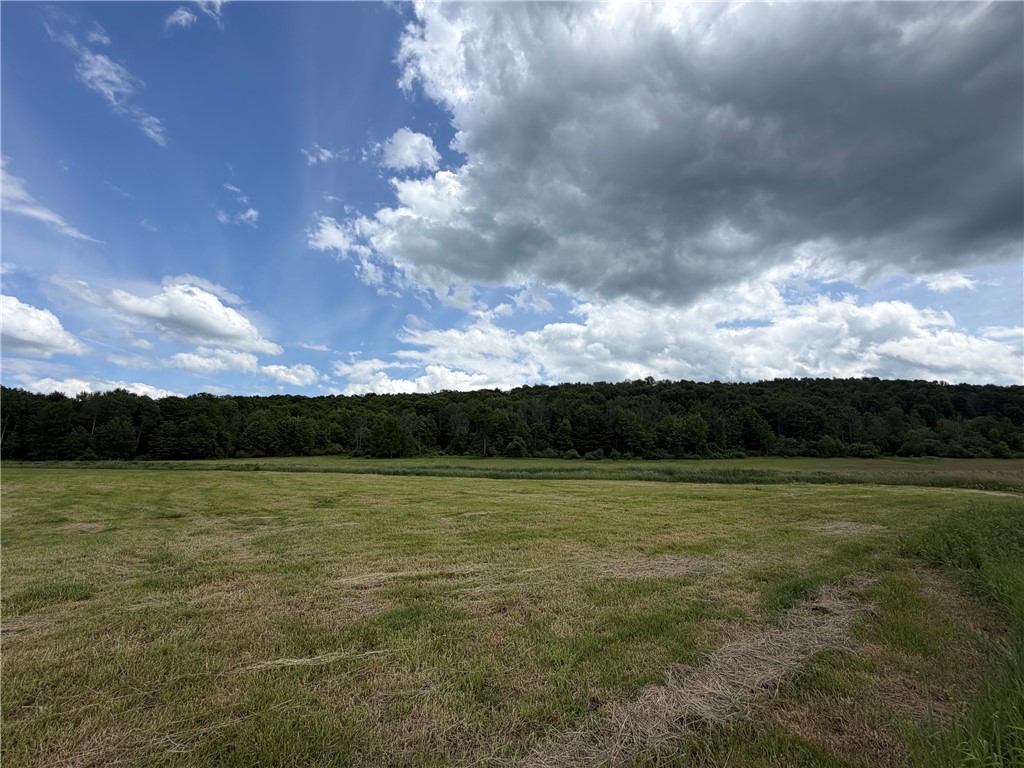 Lot 9 Summit Road Cuba, NY 14727 - Photo 13 of 22