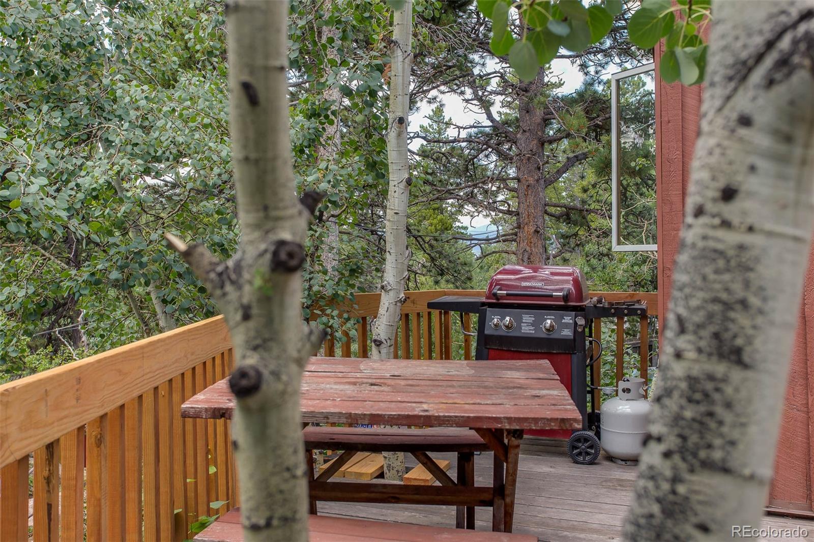 25 Olde Carter Lake Road Golden, CO 80403 - Photo 20 of 25 Gallery Image 20