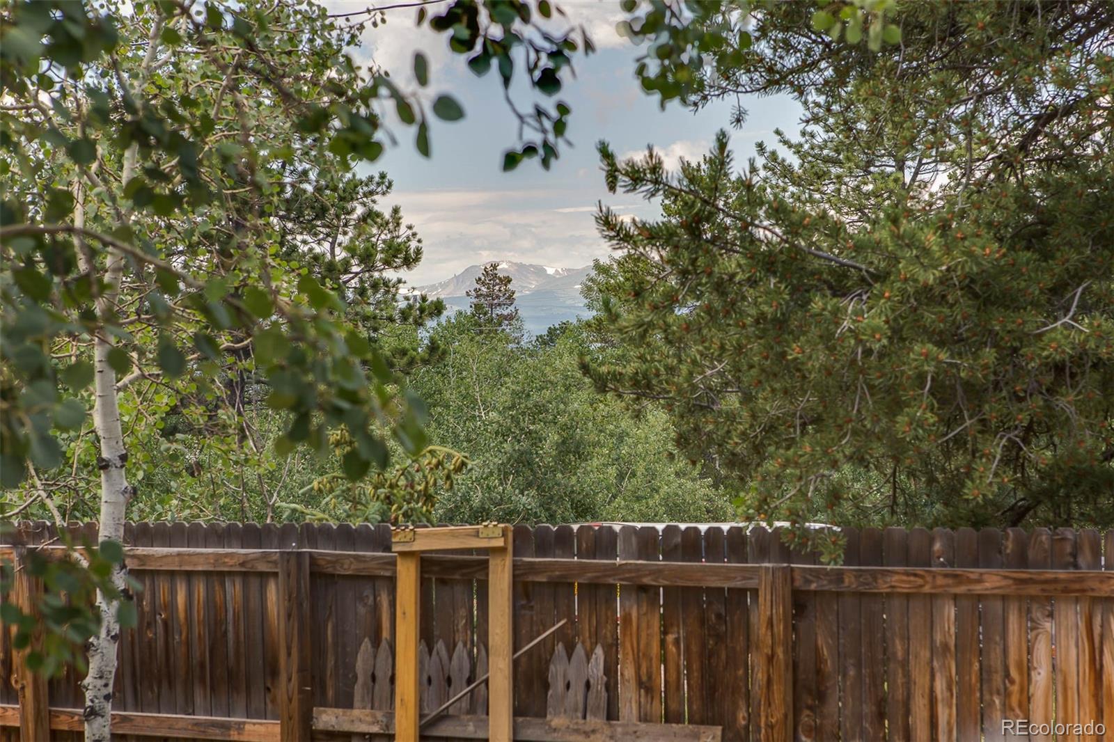 25 Olde Carter Lake Road Golden, CO 80403 - Photo 4 of 25 Gallery Image 4
