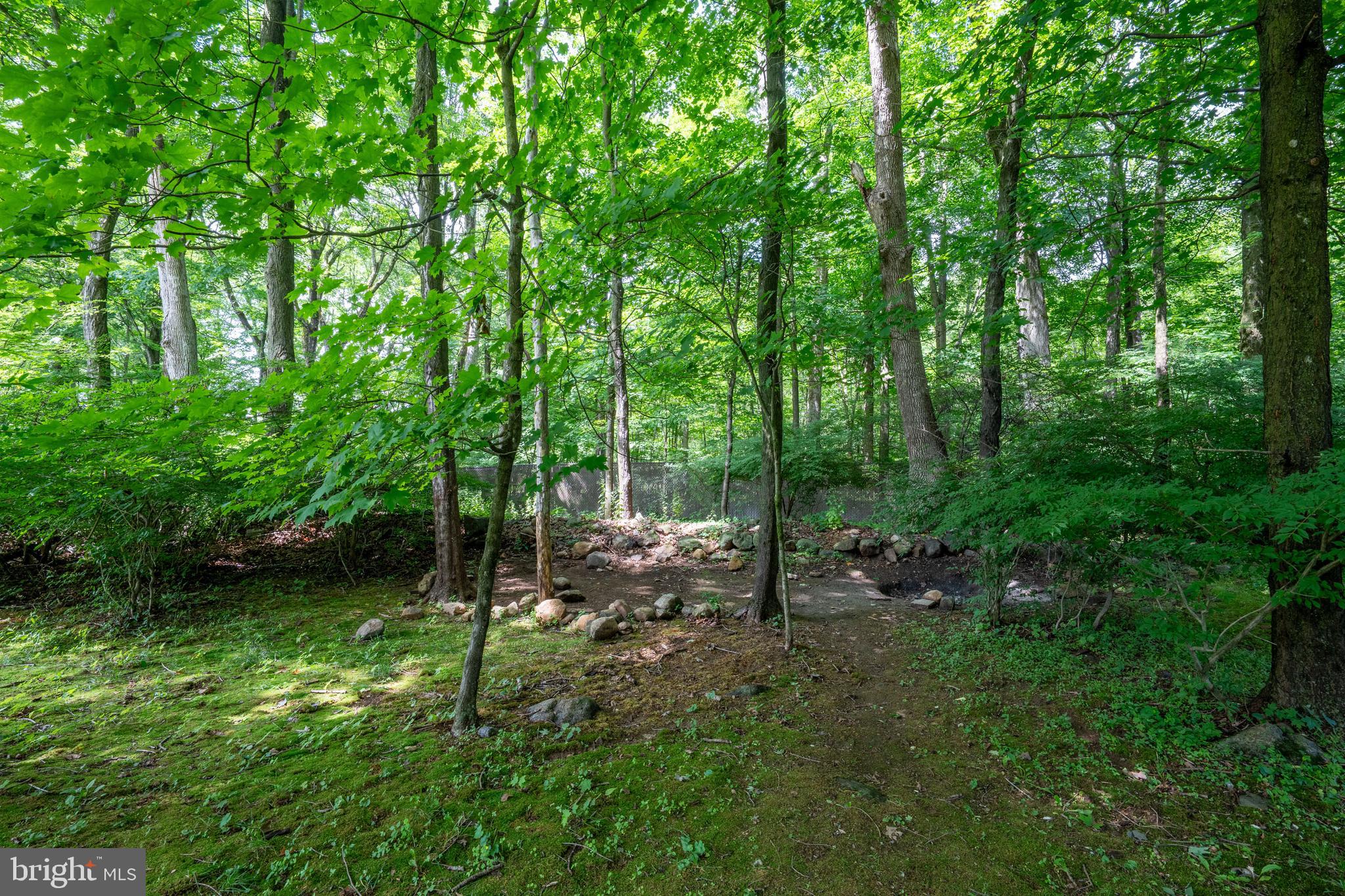9 Jessica Court Lake Hopatcong, NJ 07849 - Photo 47 of 47 a view of a forest that has large trees