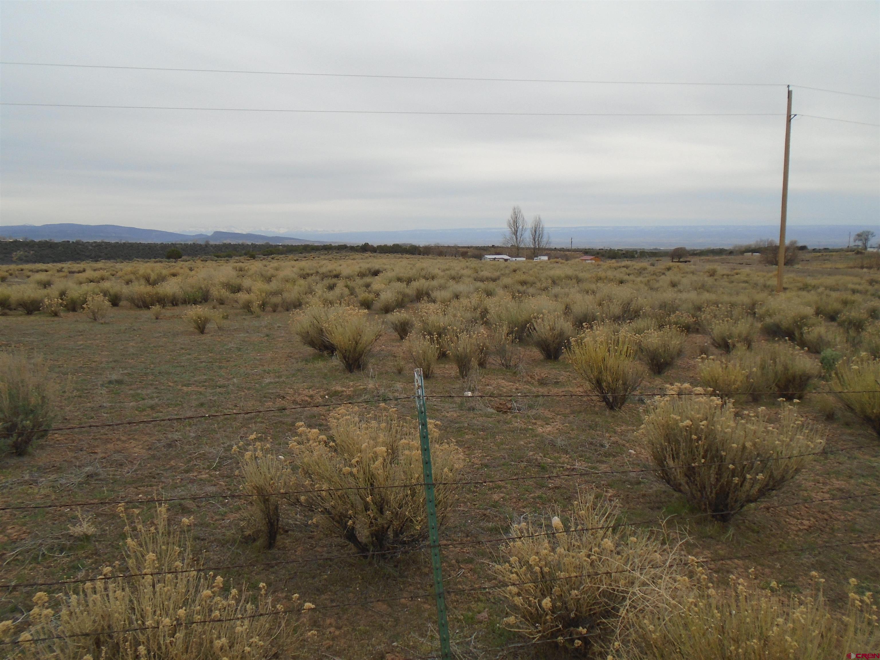 14994 2600th Road Cedaredge, CO 81413 - Photo 3 of 4