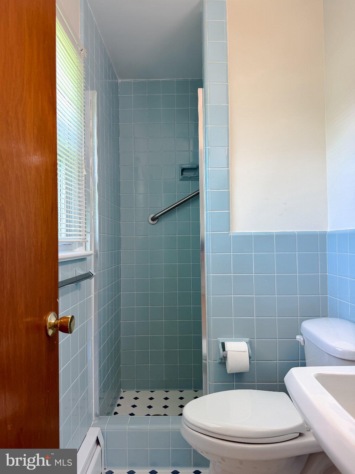 23230 Colton Point Road Avenue, MD 20609 - Photo 38 of 63 Charming blue-tiled bathroom retreat.
