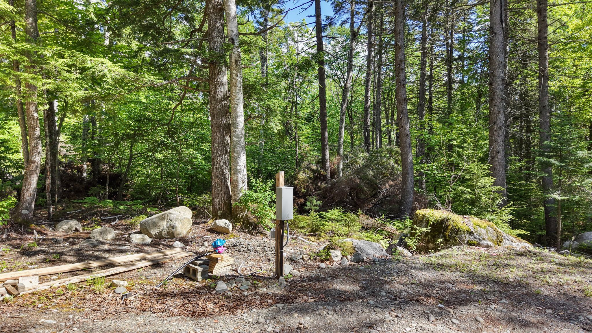 19 Brown Road Danforth, ME 04424 - Photo 3 of 31 dji_fly_20260616_155444_0969_17816402806
