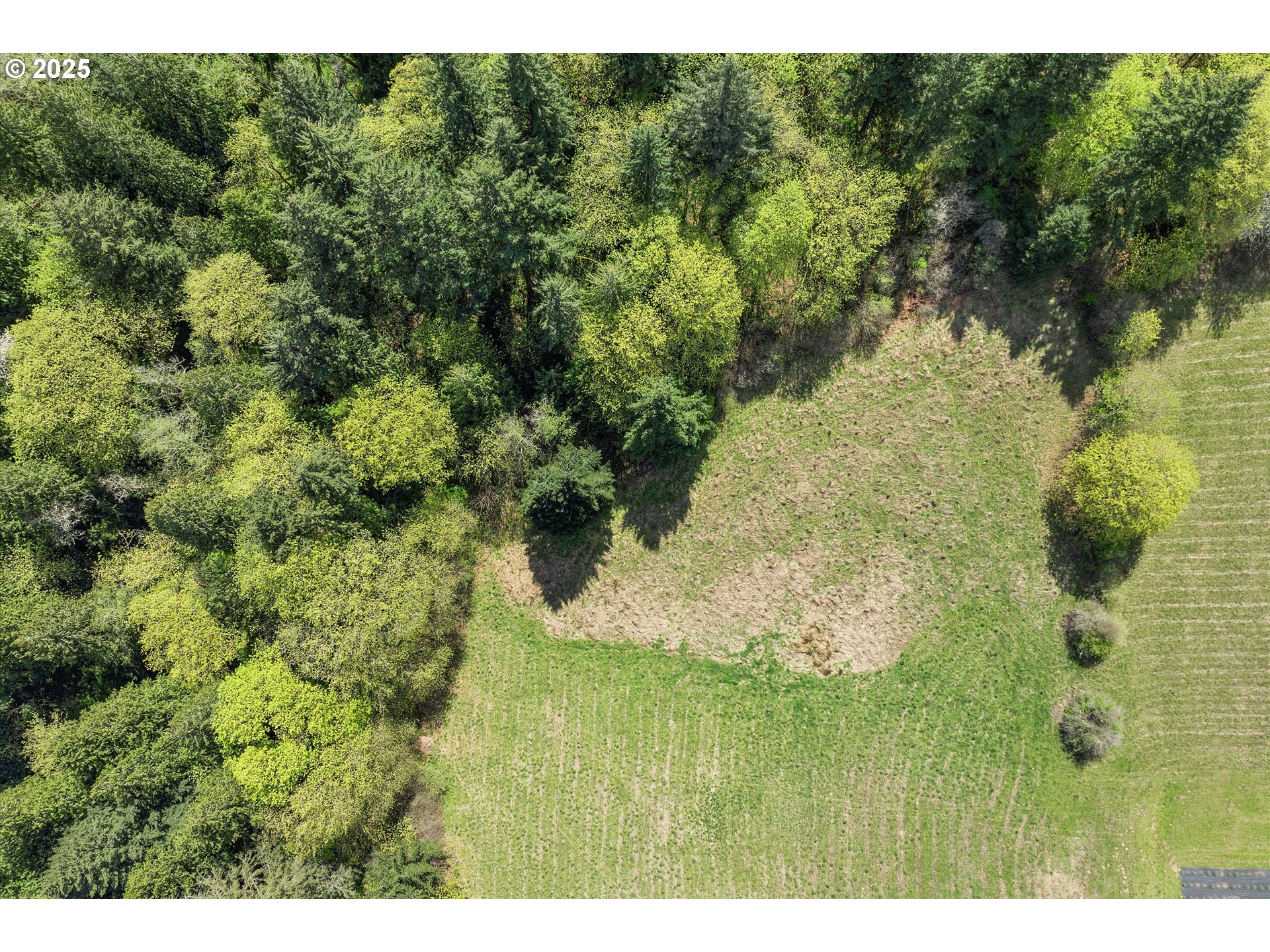 Southwest Schmeltzer Road Sherwood, OR 97140 - Photo 11 of 12