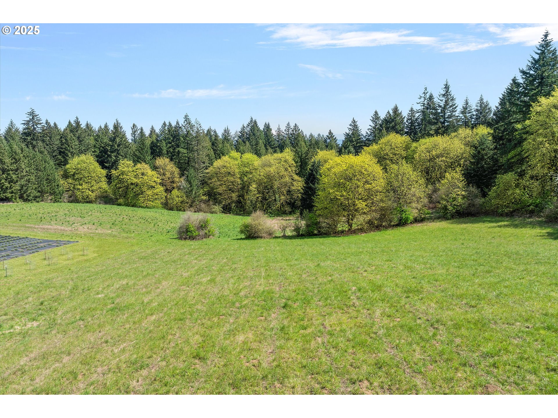 Southwest Schmeltzer Road Sherwood, OR 97140 - Photo 6 of 12