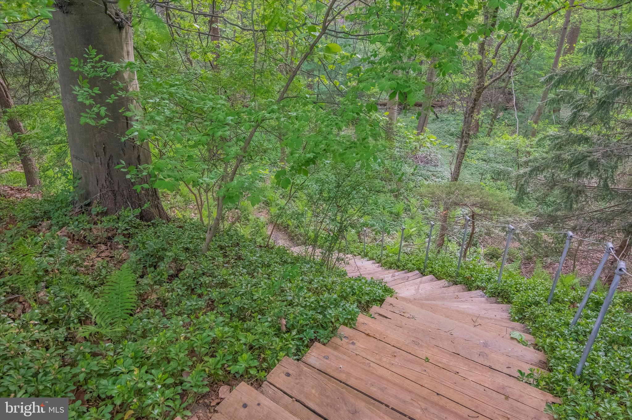 742 Winding Road Jenkintown, PA 19046 - Photo 33 of 34 Stairs down to the Bird Sanctuary