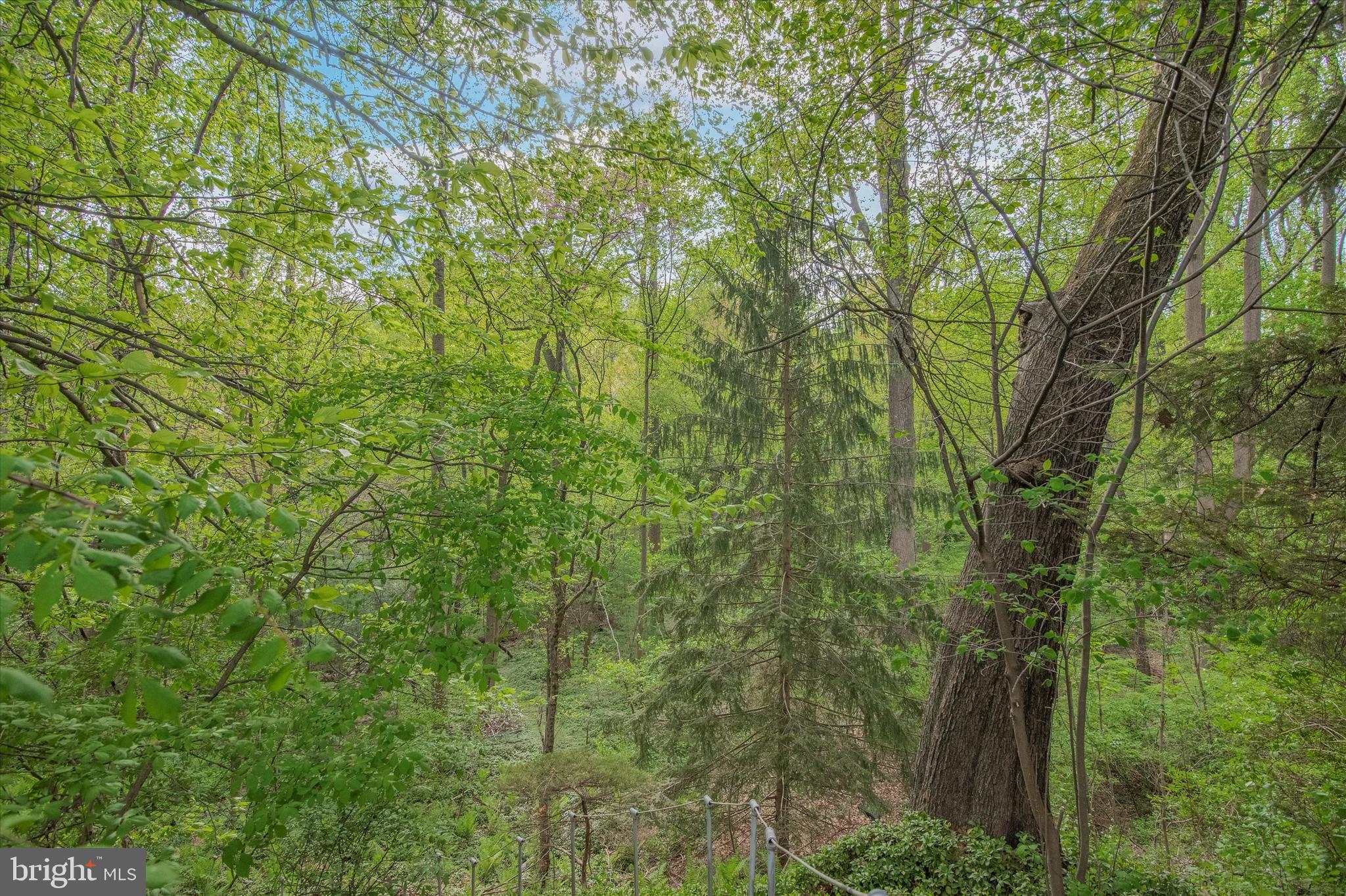 742 Winding Road Jenkintown, PA 19046 - Photo 34 of 34 Bird Sanctuary