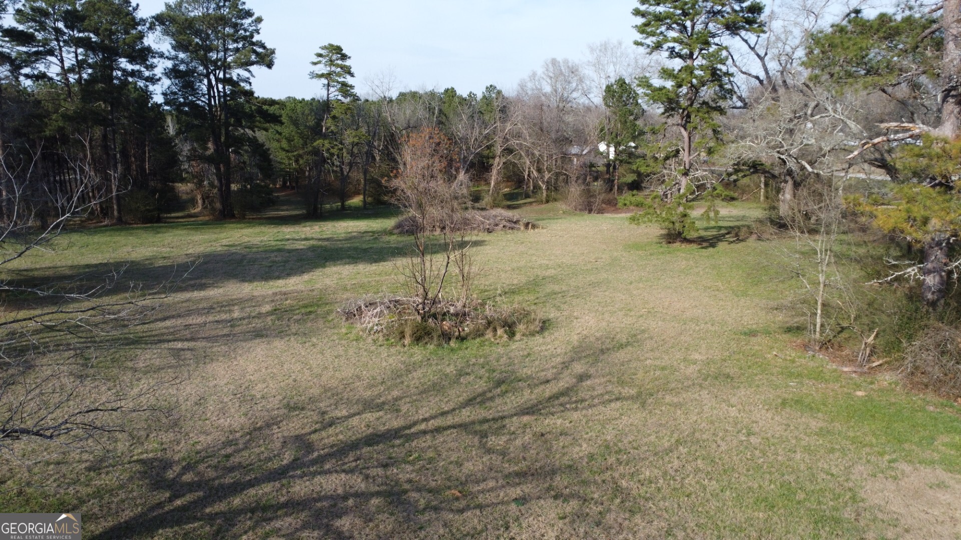 0 Barnett Road Southeast Crawfordville, GA 30631 - Photo 11 of 39 a view of a yard with a tree