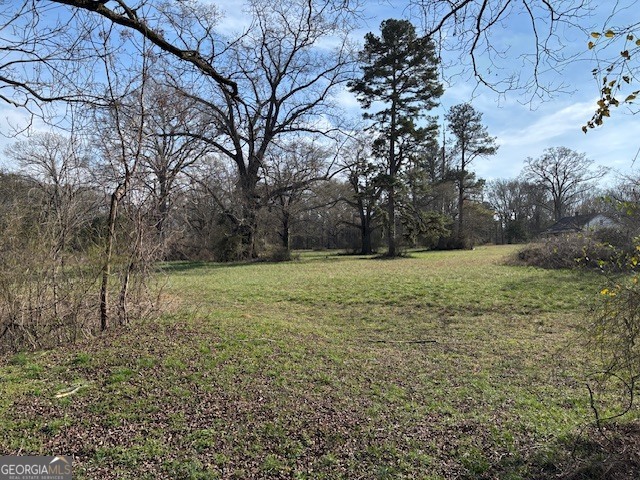 0 Barnett Road Southeast Crawfordville, GA 30631 - Photo 14 of 39 a view of a field with trees