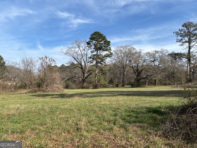 0 Barnett Road Southeast Crawfordville, GA 30631 - Photo 17 of 39 a big yard with lots of tress in it