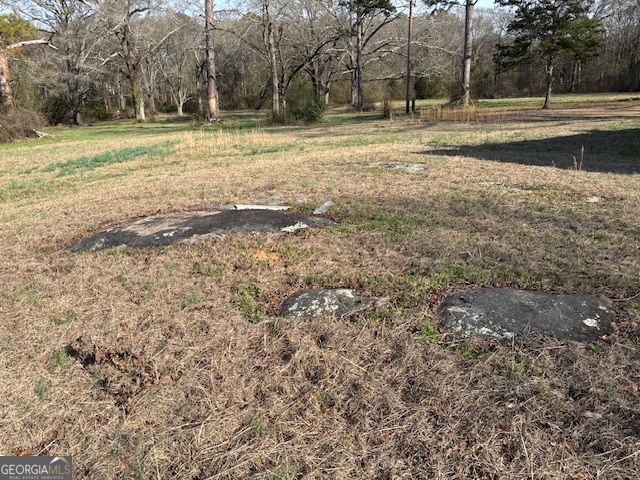 0 Barnett Road Southeast Crawfordville, GA 30631 - Photo 21 of 39 a view of outdoor space with trees