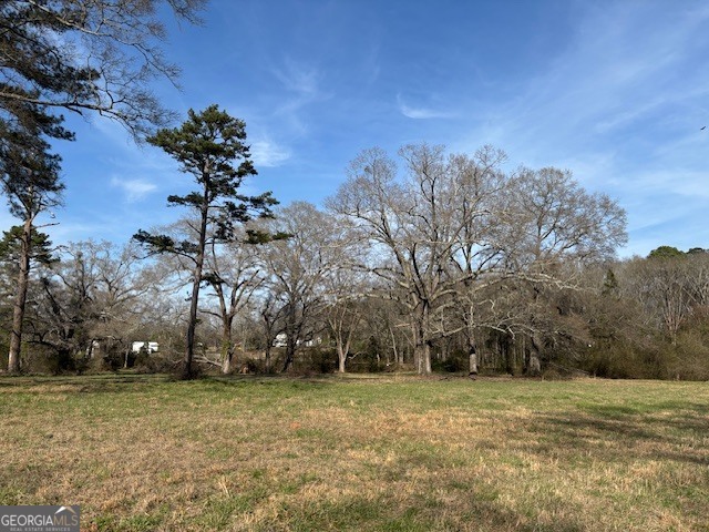 0 Barnett Road Southeast Crawfordville, GA 30631 - Photo 24 of 39 a view of a field with trees