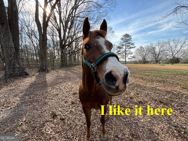 0 Barnett Road Southeast Crawfordville, GA 30631 - Photo 26 of 39 a view of a yard