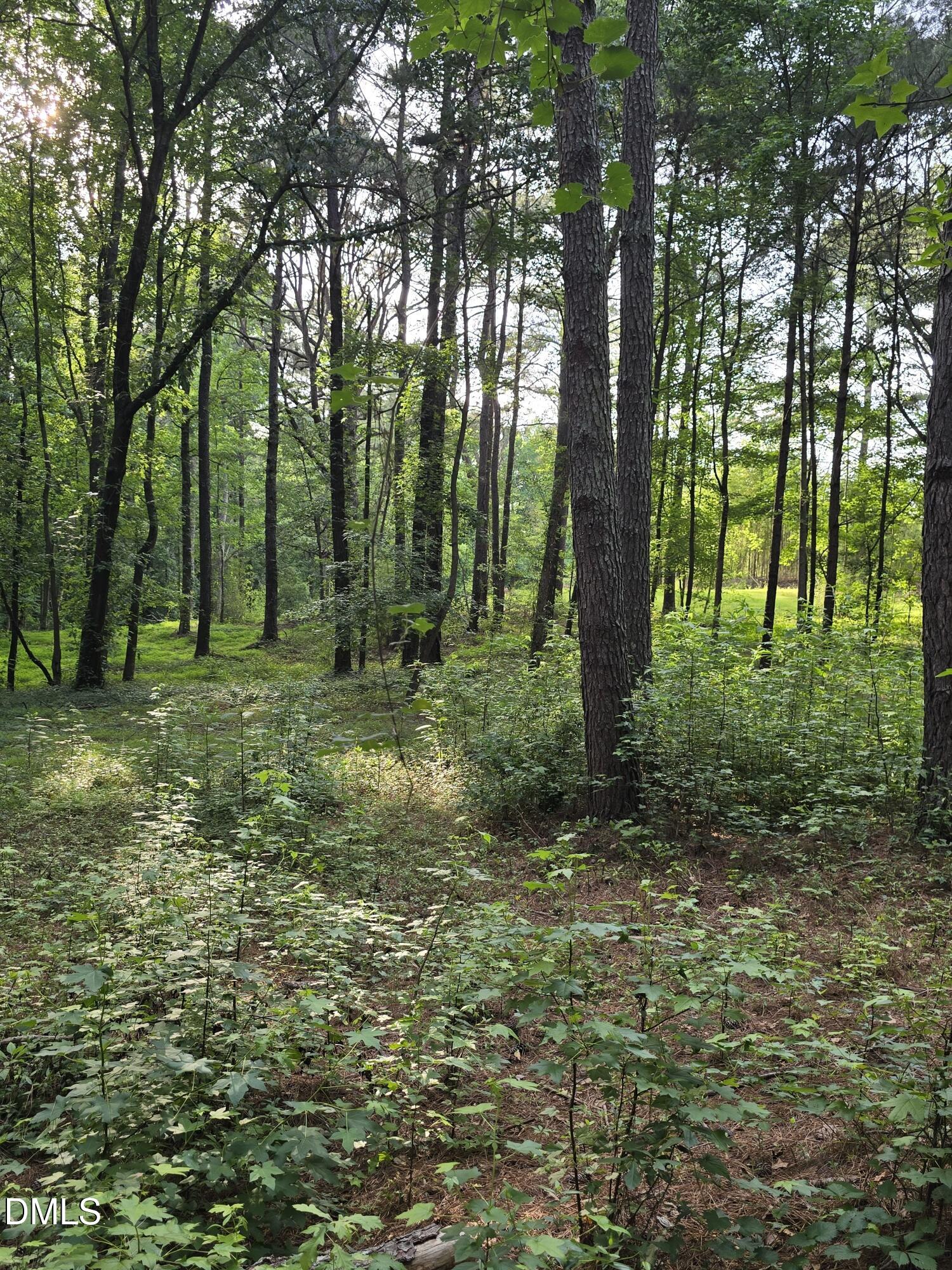0 Honeycutt Road Willow Spring, NC 27592 - Photo 7 of 18 IMG-20260531-WA0025