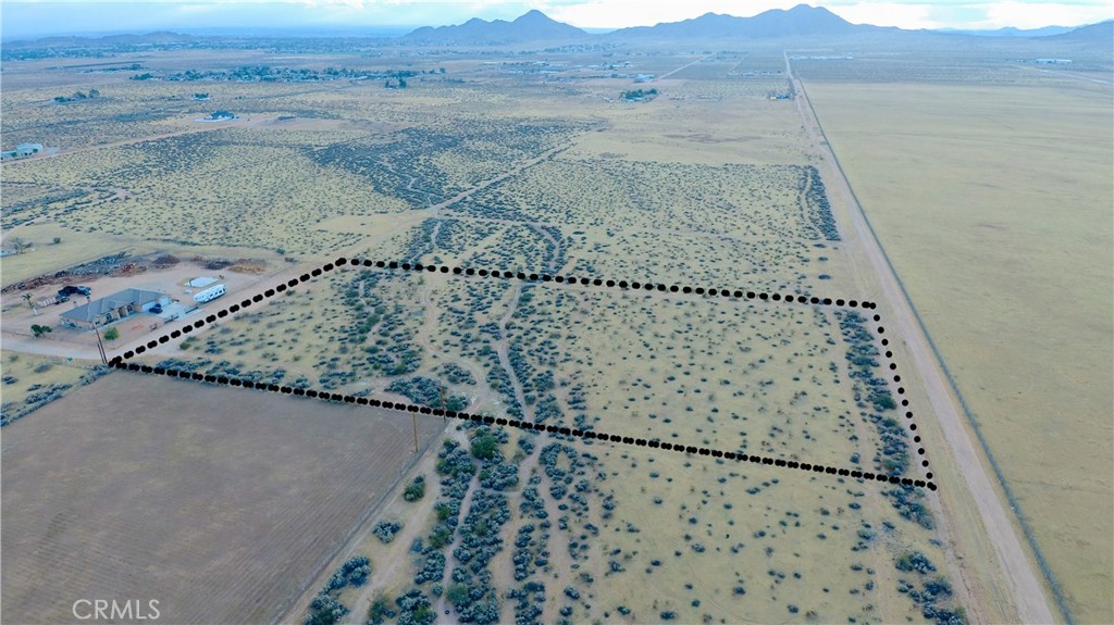 a view of a dry yard