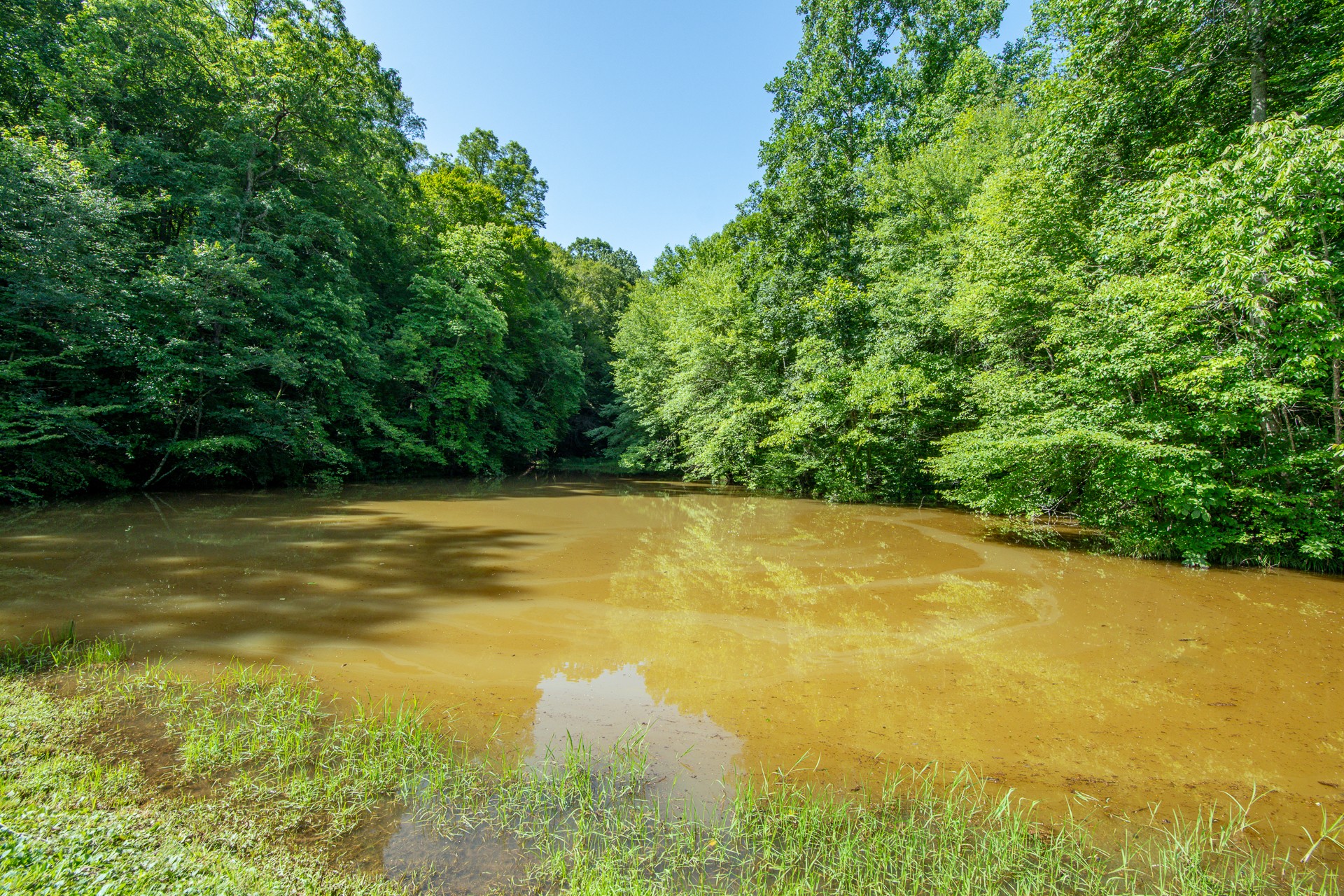 2366 Stults Branch Road Iron City, TN 38463 - Photo 14 of 96 Gallery Image 14