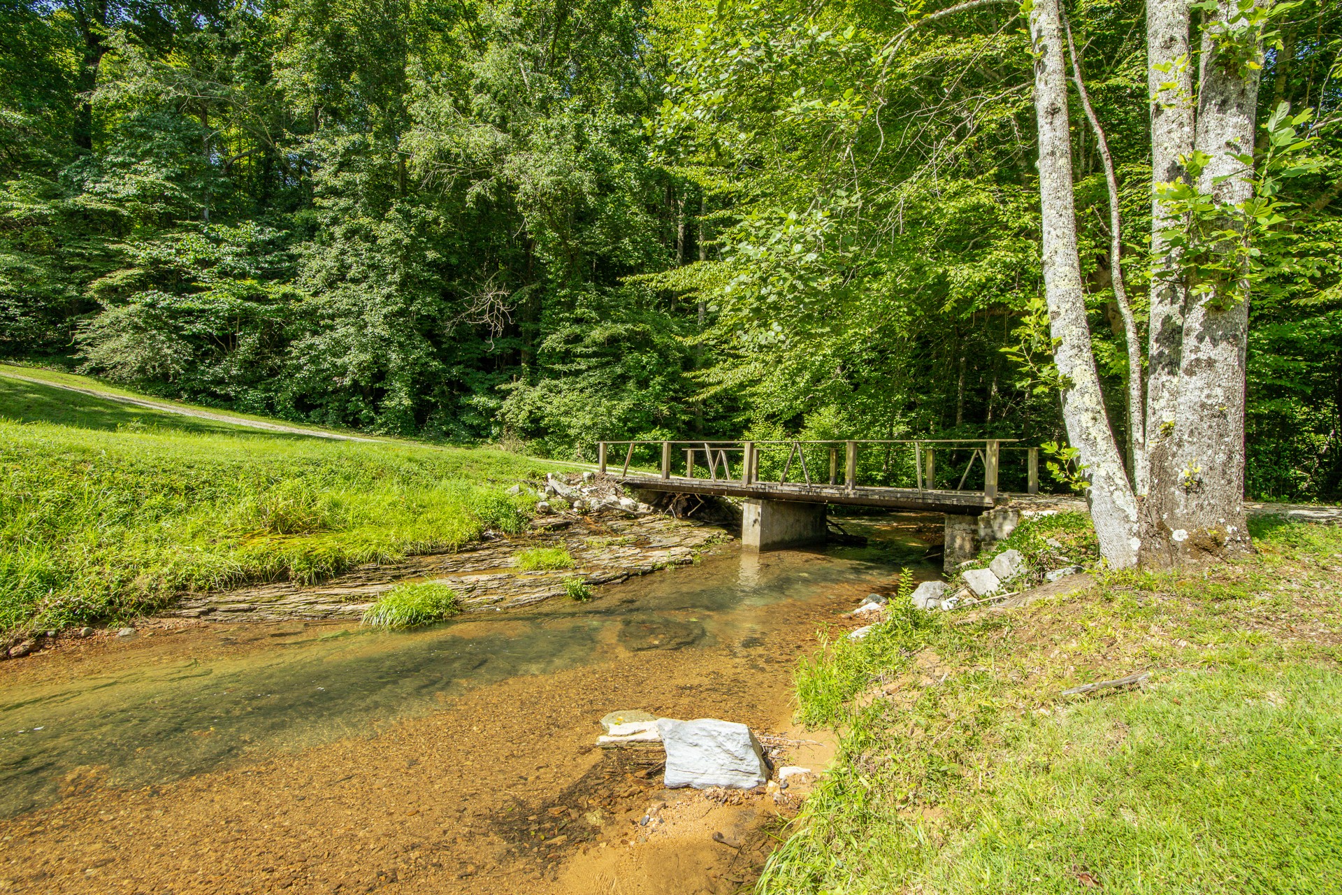 2366 Stults Branch Road Iron City, TN 38463 - Photo 6 of 96 Gallery Image 6