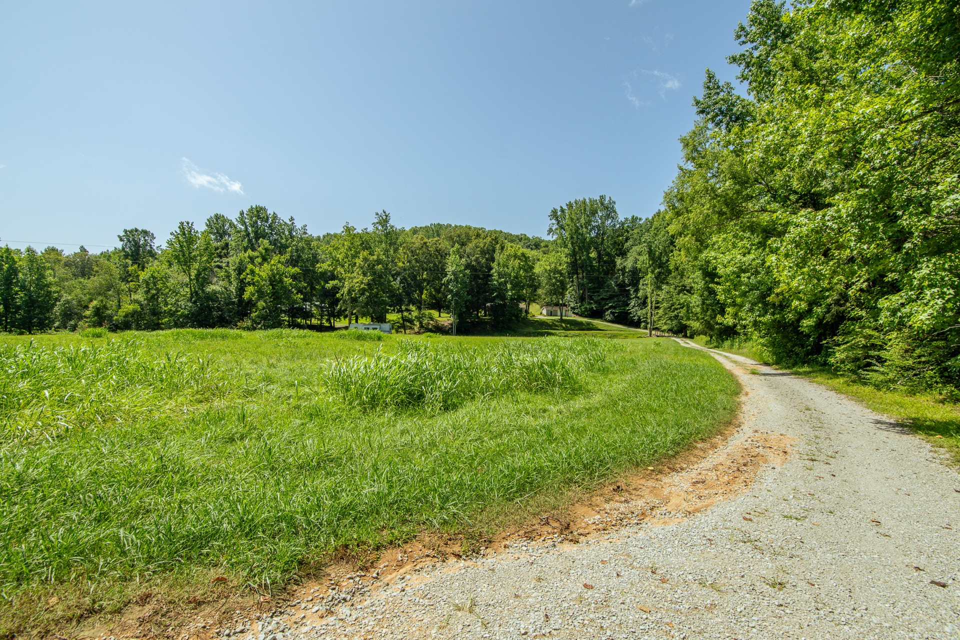 2366 Stults Branch Road Iron City, TN 38463 - Photo 68 of 96 Gallery Image 68