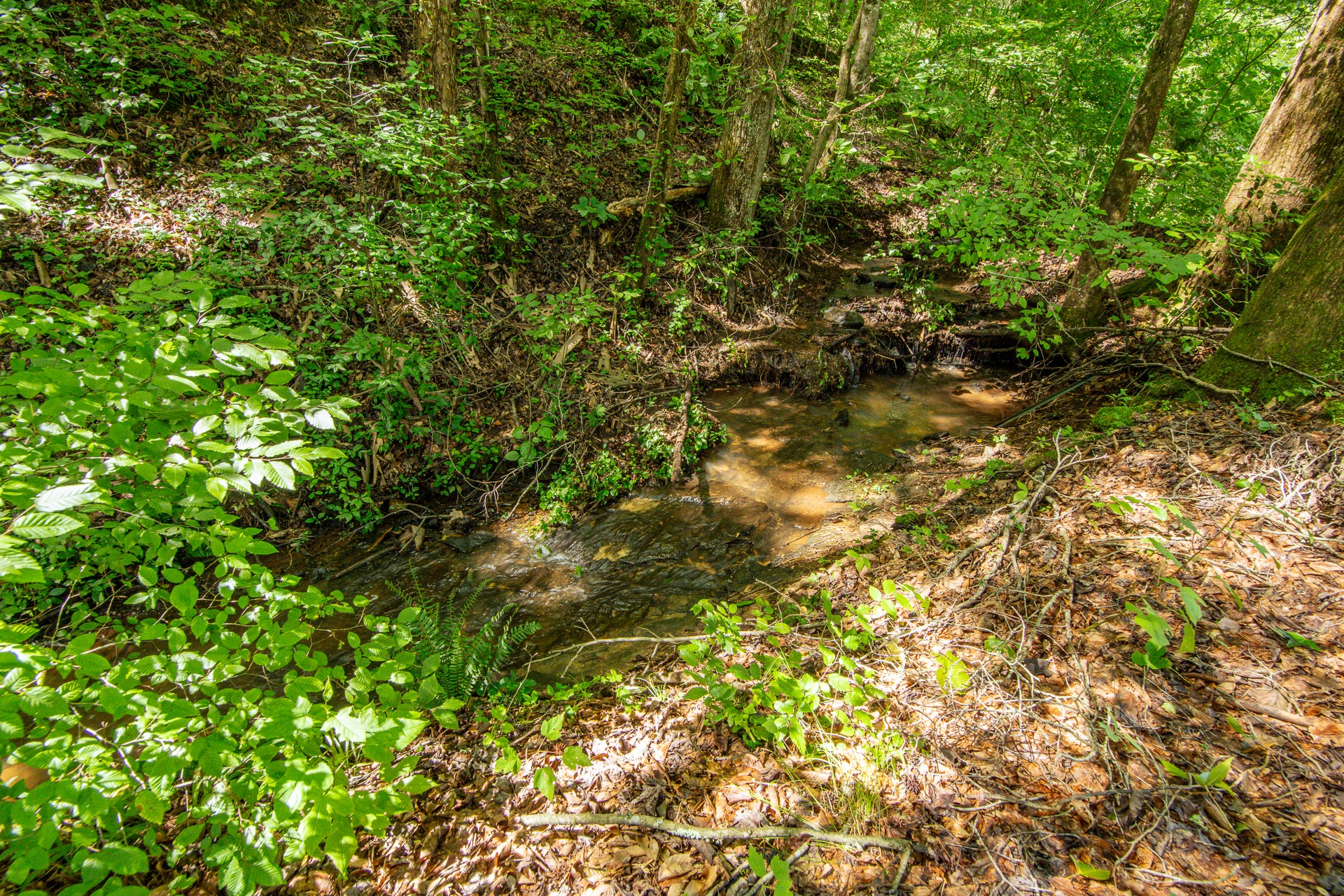 2366 Stults Branch Road Iron City, TN 38463 - Photo 81 of 96 Gallery Image 81