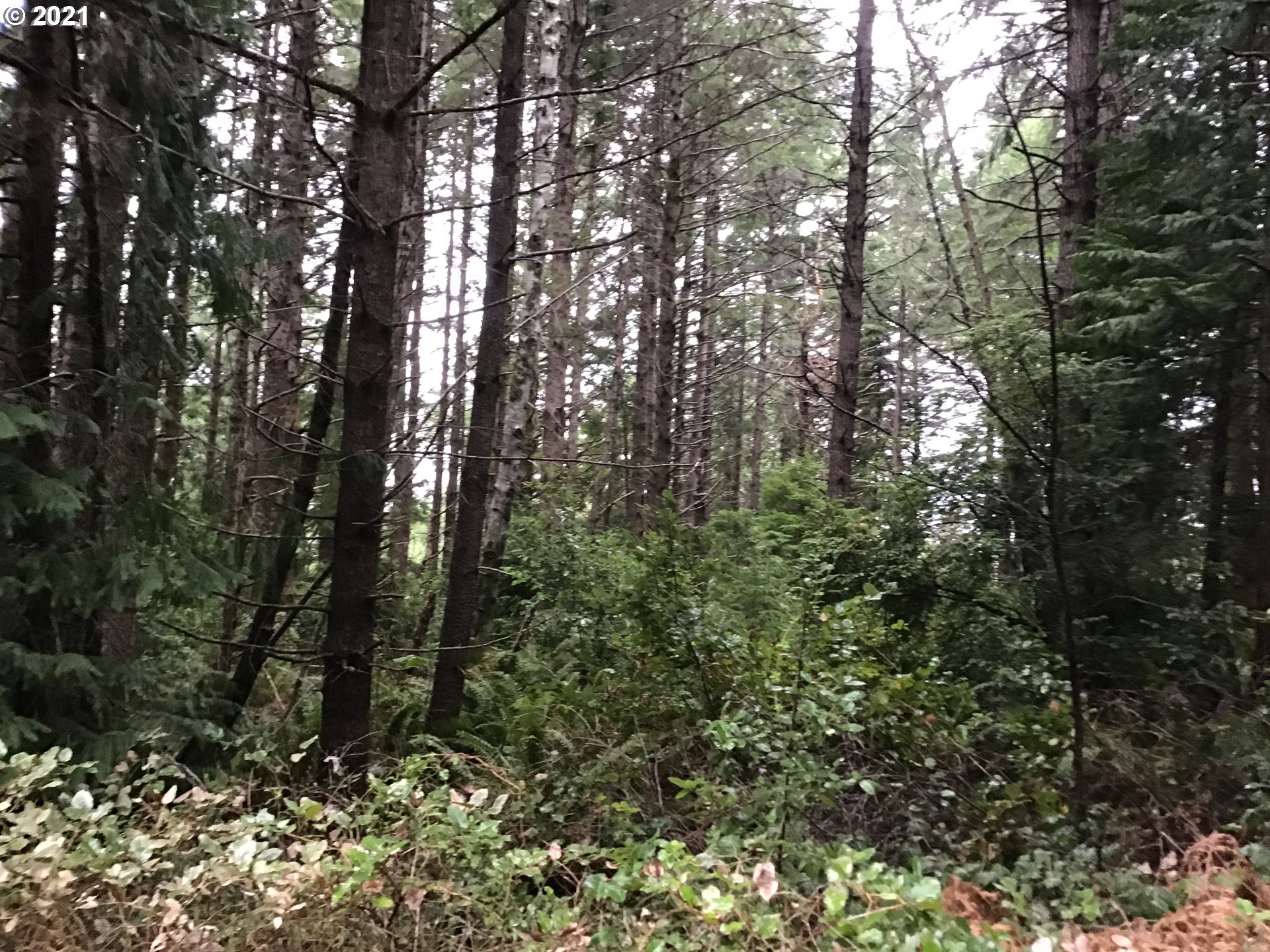 China Mtn Rd Port Port Orford, OR 97465 - Photo 1 of 4 Gallery Image 1