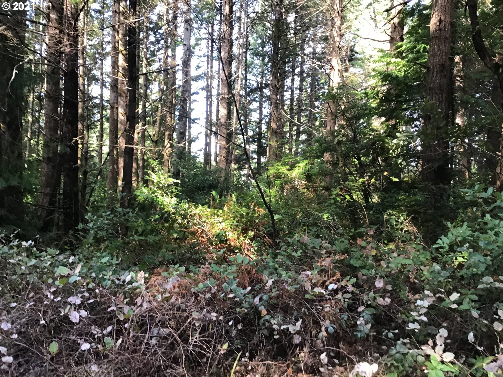 China Mtn Rd Port Port Orford, OR 97465 - Photo 2 of 4 Gallery Image 2