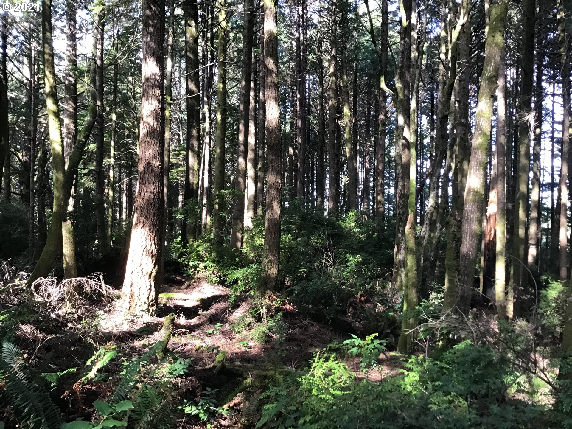 China Mtn Rd Port Port Orford, OR 97465 - Photo 3 of 4 Gallery Image 3