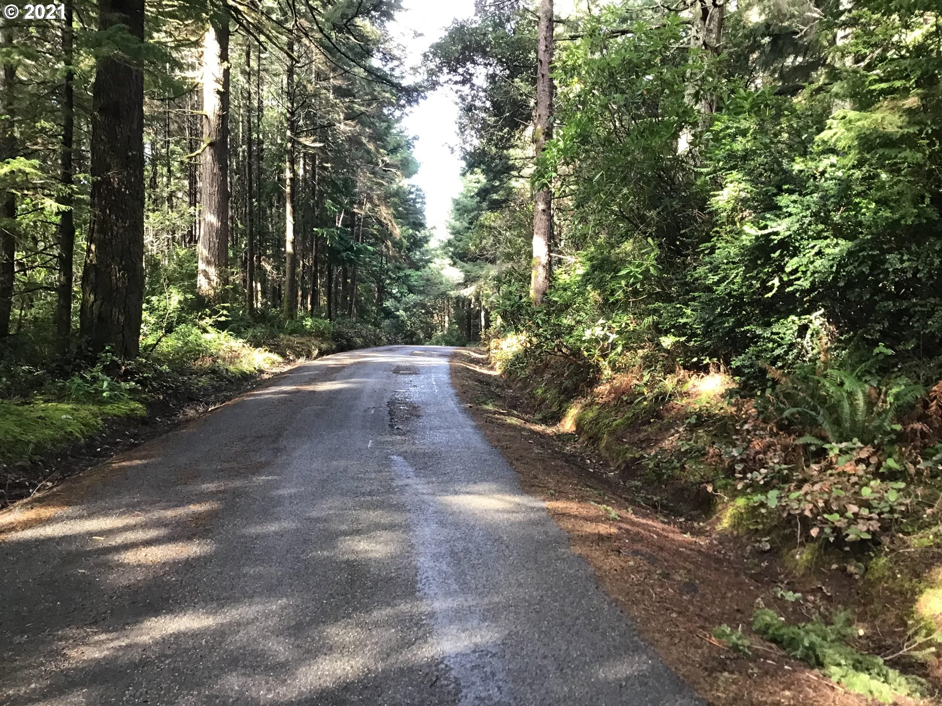 China Mtn Rd Port Port Orford, OR 97465 - Photo 4 of 4 Gallery Image 4
