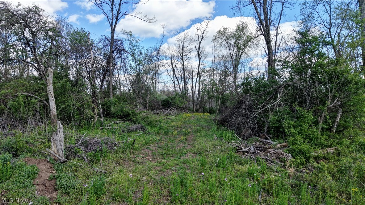 Deersville Ridge Road Cadiz, OH 43907 - Photo 13 of 41