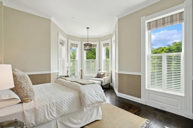 a view of a yard with plants and trees