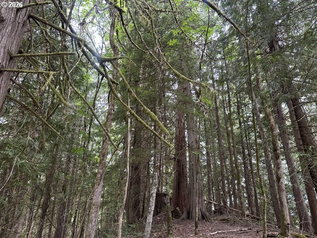 H Street Vernonia, OR 97064 - Photo 18 of 21