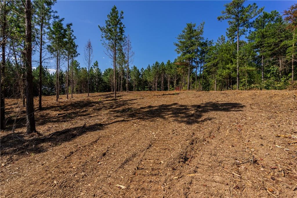 1 Young Loop Fairmount, GA 30139 - Photo 3 of 8