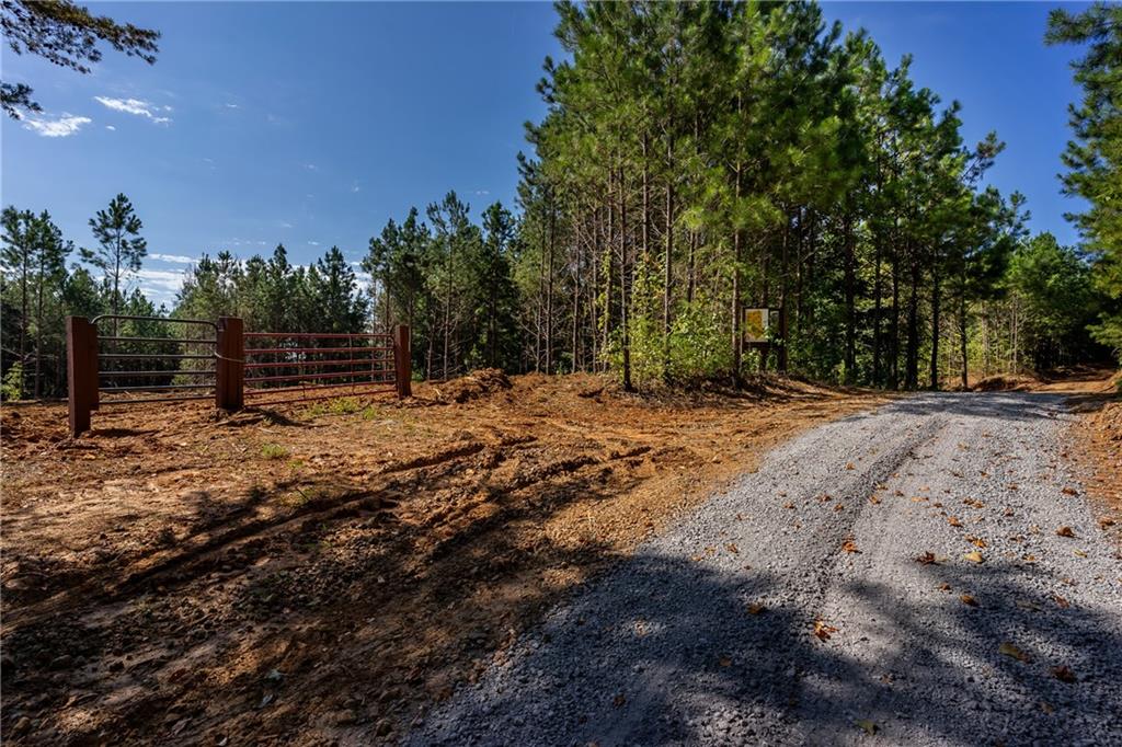 1 Young Loop Fairmount, GA 30139 - Photo 4 of 8