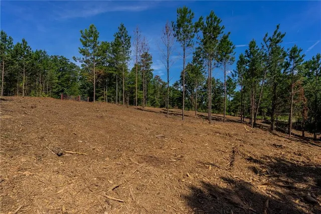 $245,000 | 1 Young Loop, Fairmount, GA 30139