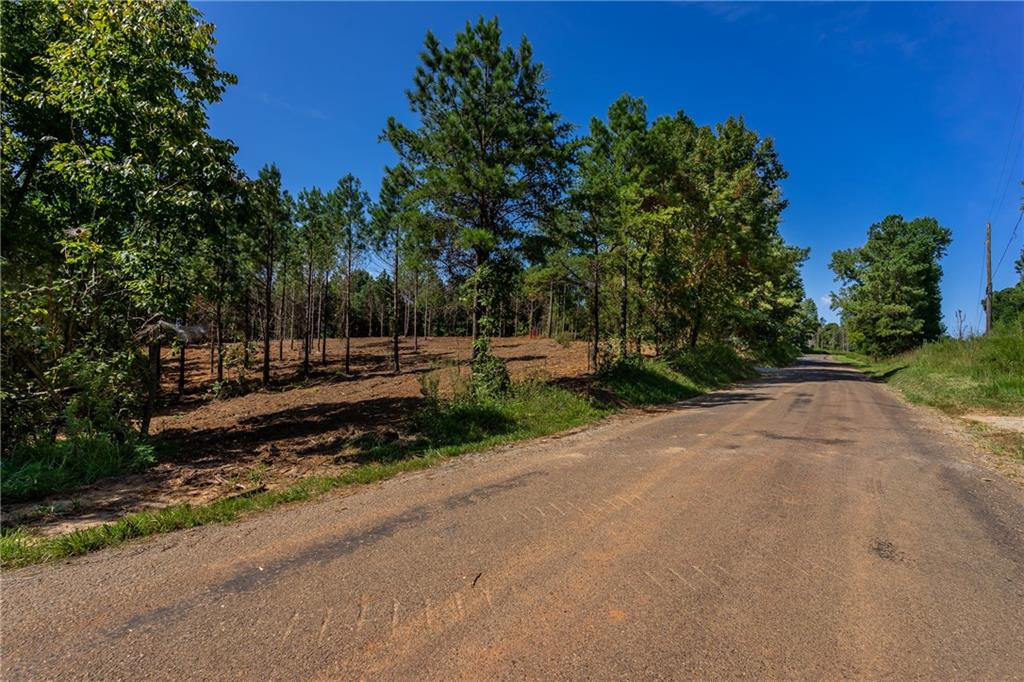 1 Young Loop Fairmount, GA 30139 - Photo 8 of 8