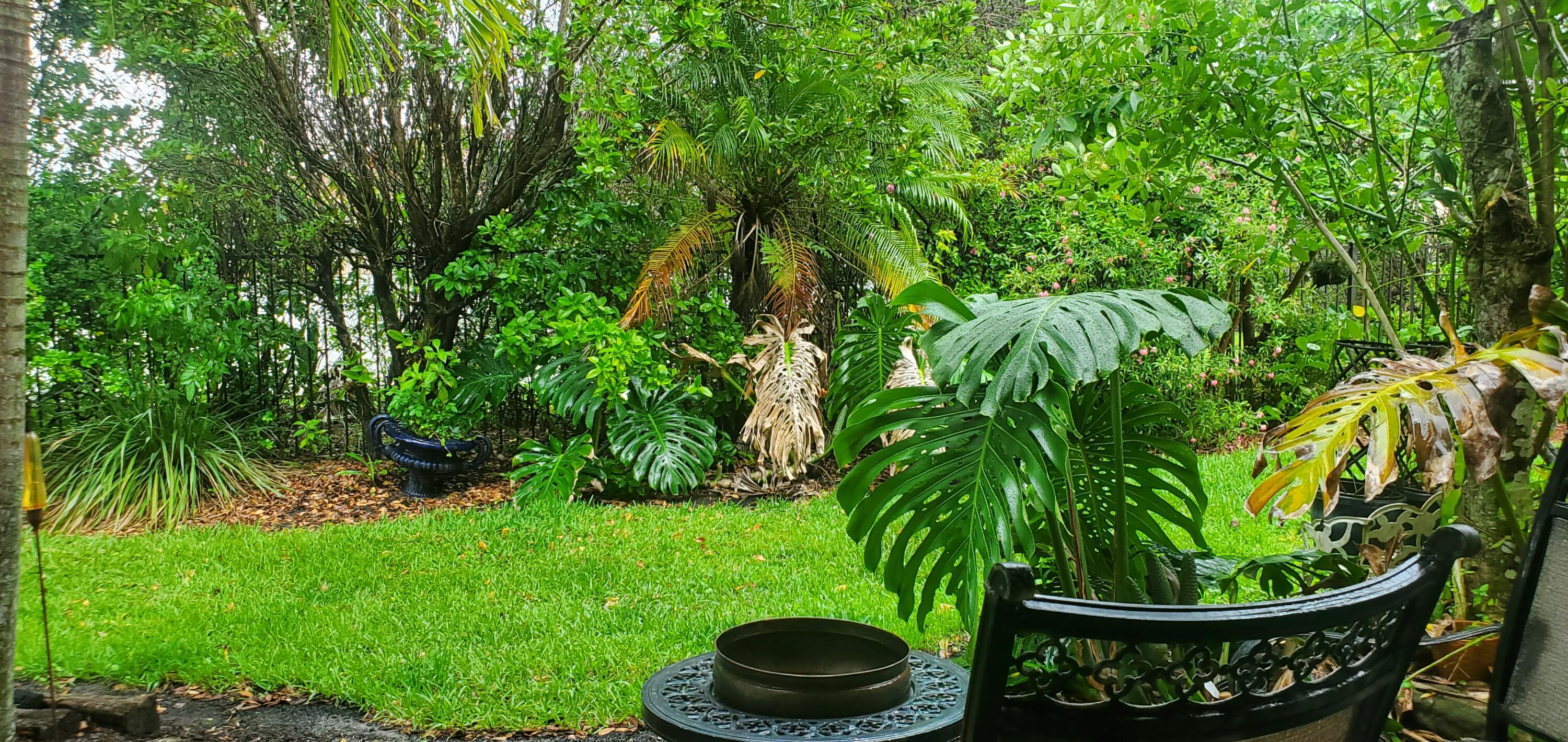 3171 Southwest Otter Lane Stuart, FL 34997 - Photo 8 of 9 Backyard